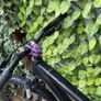 orbea onna 50 Image 2