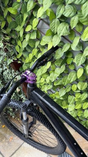 orbea onna 50