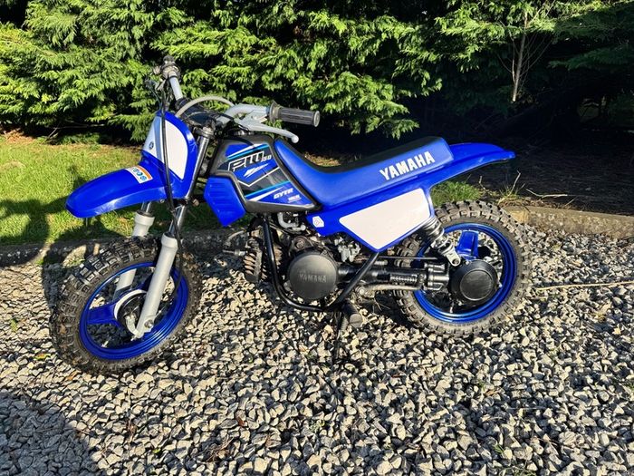Yamaha pw50