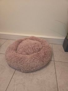 Dog Bed (brand new)