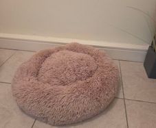 Dog Bed (brand new)