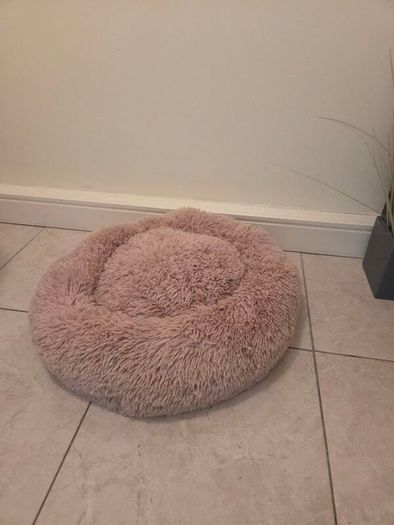 Dog Bed (brand new)