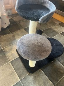 cat tree