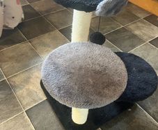 cat tree
