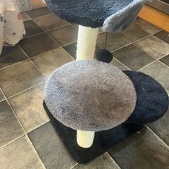 cat tree