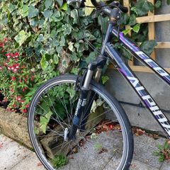 Girl's Bicycle - Available for free
