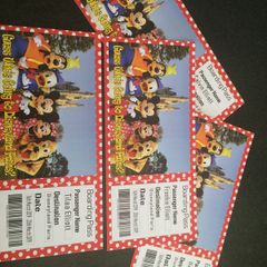 Personalised DIsneyland Boarding pass