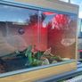 Reptile Vivarium Image 3