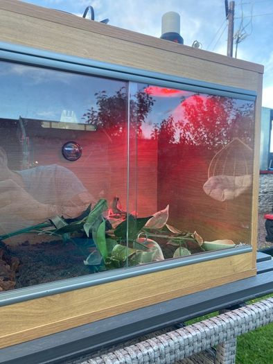 Reptile Vivarium