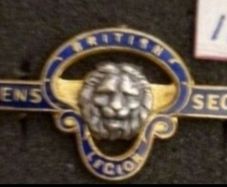 United Kingdom,  british legion  badge , woman's section ,  (117)
