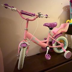 12 Inch Bike with Doll Carrier Pink