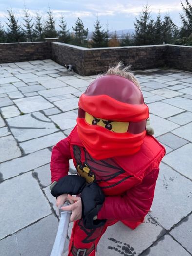 Ninjago Lego Costume