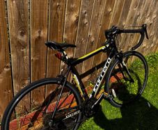 Carrera Road Bike