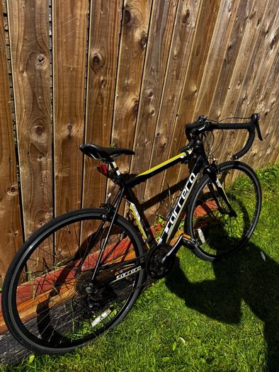 Carrera Road Bike