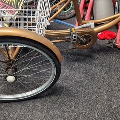 adult trycicle