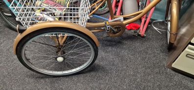 adult trycicle