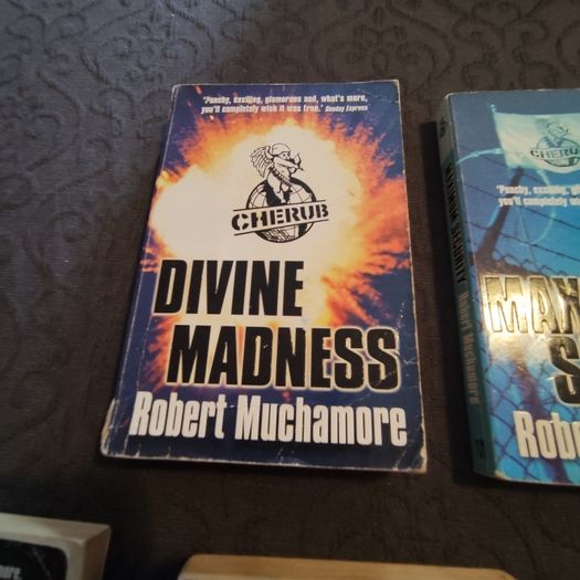 Robert Muchamore novels job lot