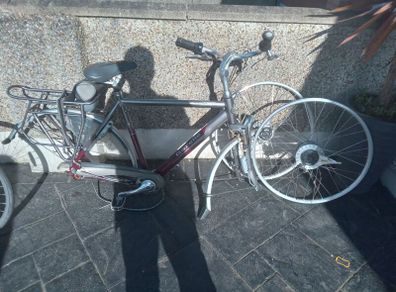 Electric bike project
