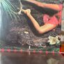 Roxy Music - Stranded (First Edition) Image 7