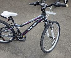24 Procycle Venus Bike  Like New  Fully Checked