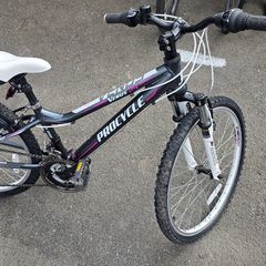 24 Procycle Venus Bike  Like New  Fully Checked