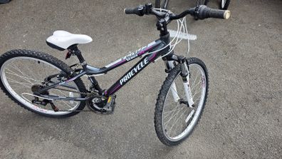 24 Procycle Venus Bike  Like New  Fully Checked