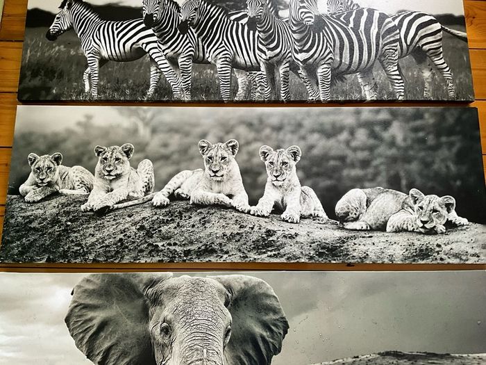 Large Black & White Wall Art Prints. Set of 3