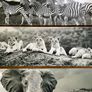 Large Black & White Wall Art Prints. Set of 3 Image 9