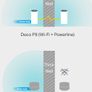 Deco P9 Mesh Powerline WiFi Extenders Image 4