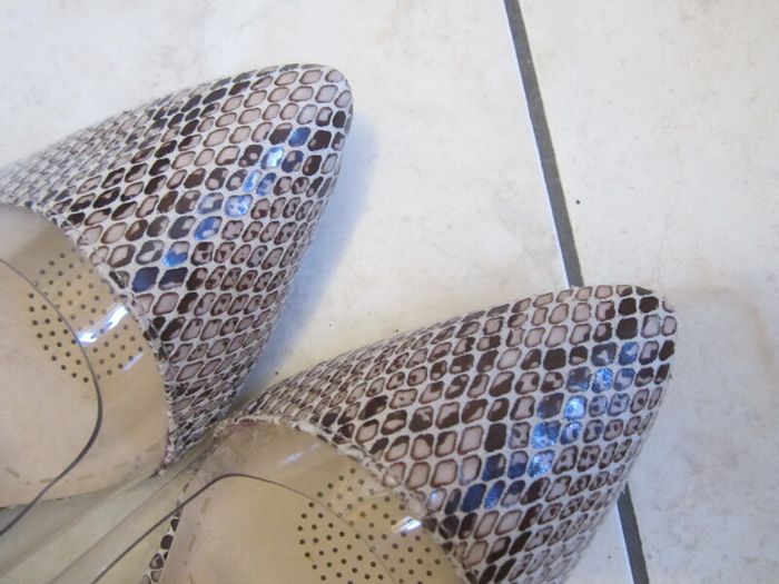 REPTILE colour    size 7