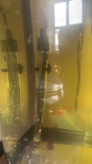 fish tank