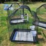 bird cages Image 3