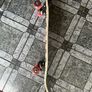 Skateboard Image 3