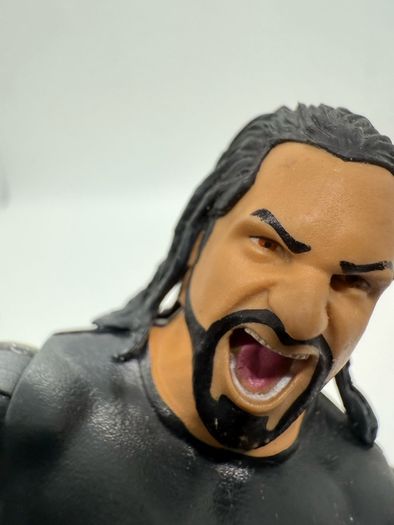 wwe Seth Rollins action figure