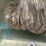 gravel free Image 6