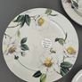TeaCups Saucers Plates Jane Asher Influence Camellia Image 4