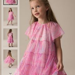 Next girls dress