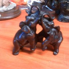 Elephants small