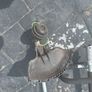 strimmers Image 8