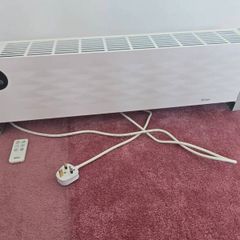 Electric heater