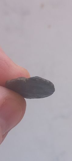 Macedonian Coin