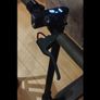 mi 365 e scooter Image 4