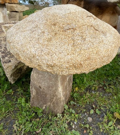 granite mushrooms