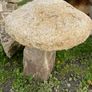 granite mushrooms Image 8