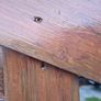 Shed Image 6