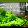 Sunsun 220V Aquarium Fish Tank Multi Functional Water Pump Internal Filter Image 2