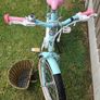 18 Inch Verve Star Bike with Basket Image 3
