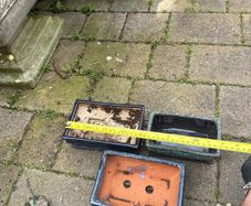 bonsai pots