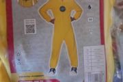 halloween costume