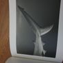 Shark, Fear and Beauty, Jean-Marie Ghislain Image 3